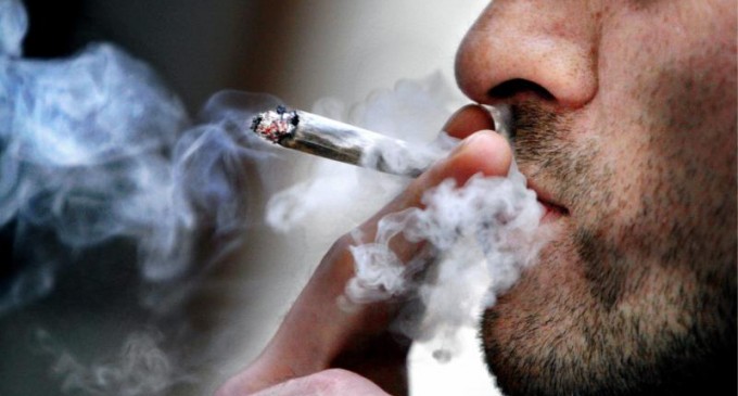 France: Le CHU de Nancy recrute des fumeurs de joints