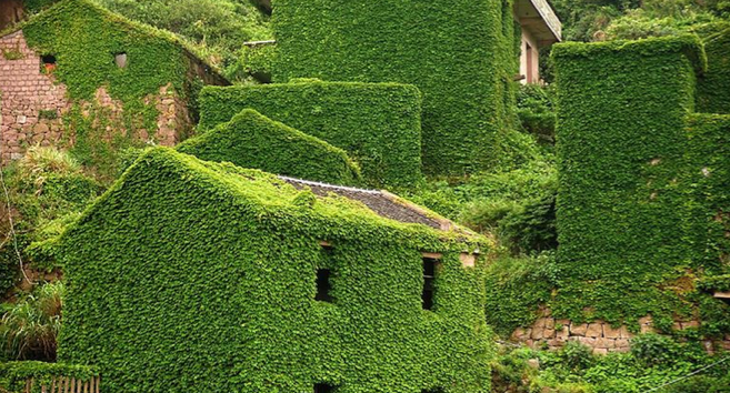 village-abandonne-nature-0