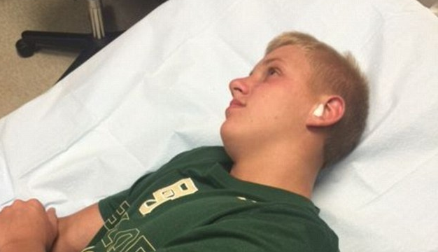 mille-pattes-oreille-0