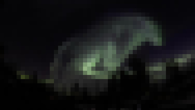 aurore-boreale-loup-5