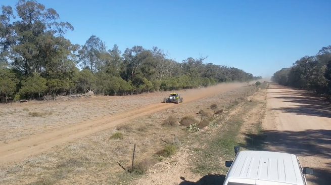 buggy-ecrase-kangourou