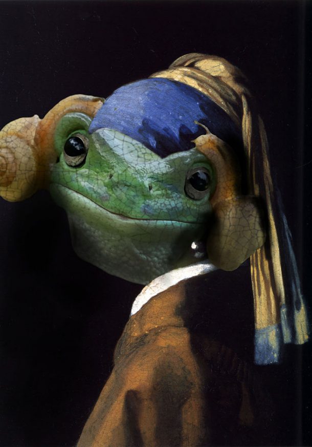 grenouille-princesse-leia-11