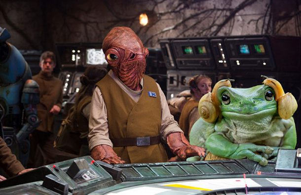 grenouille-princesse-leia-12