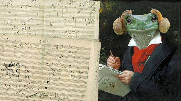 grenouille-princesse-leia-3