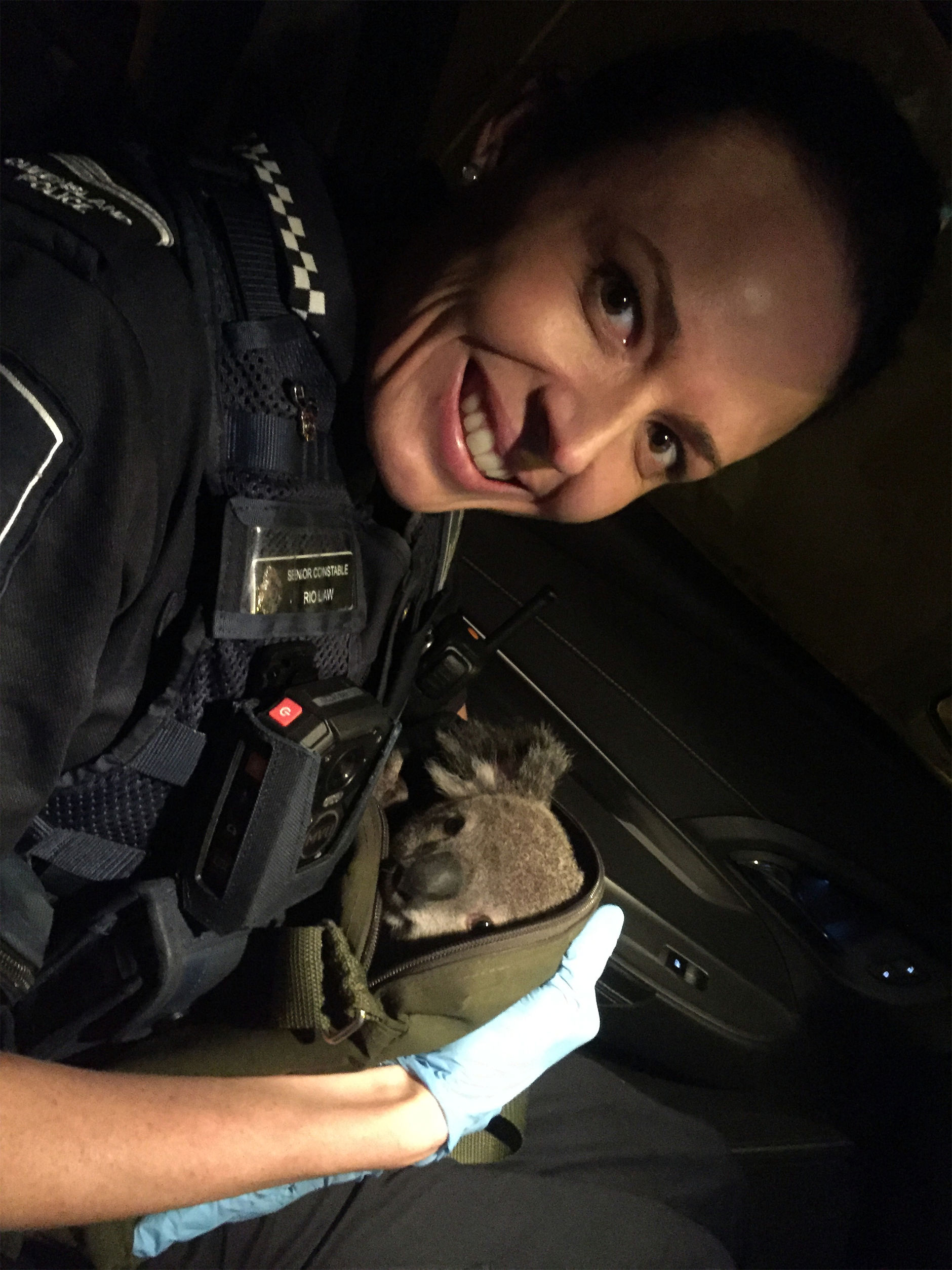 koala-sac-a-dos-australie-4