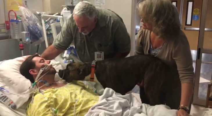 chien-adieux-maitre-mourant