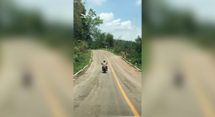 serpent-attaque-motard