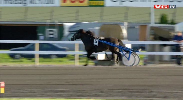 cheval-accident-course
