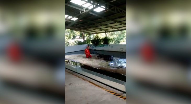 homme-tete-gueule-crocodile