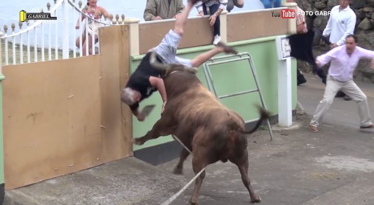 taureau-attaque-homme-ipad