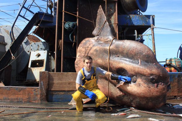 roman-fedortsov-creatures-marine-07