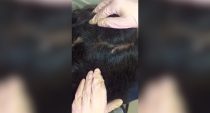 Une mère fait une écoeurante découverte sur la tête de sa fille (vidéo)
