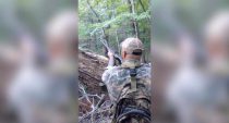 Blessé par un chasseur, un ours noir se venge avant de mourir (vidéo)
